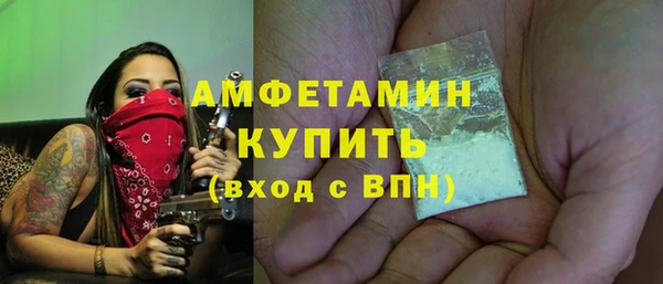 индика Бугульма