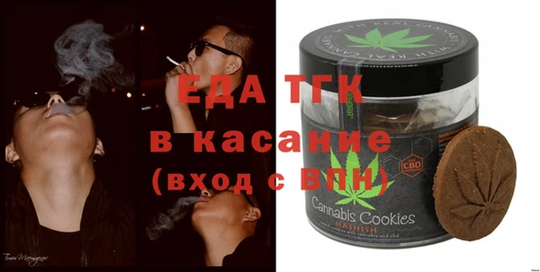 индика Бугульма