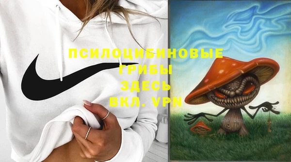 альфа пвп Бородино